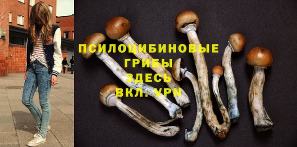 не бодяженный Няндома