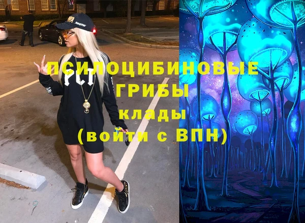 не бодяженный Няндома