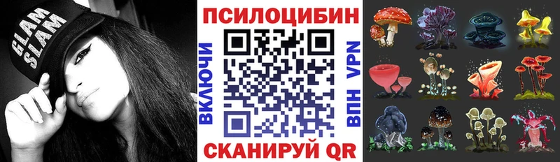 KRAKEN ссылка  Петров Вал  Псилоцибиновые грибы мицелий 