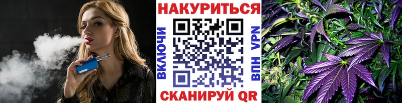 Конопля гибрид  Петров Вал 